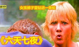 电影六天七夜在线观看,生死极限求生记